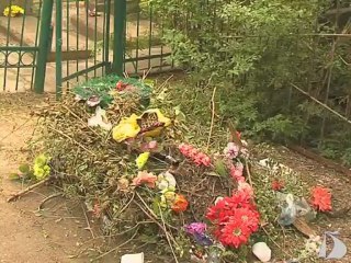 Новости от 14 мая 2013 года