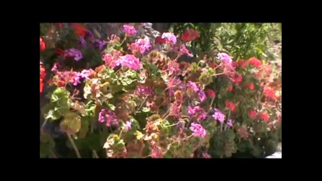 Kretan villa 1 in Agia Fotia