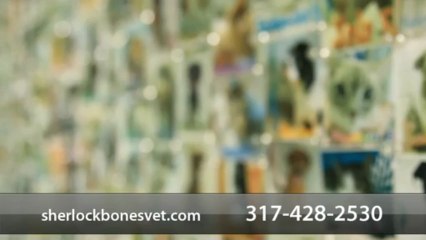 Welcome to Sherlock Bones Veterinary Hospital