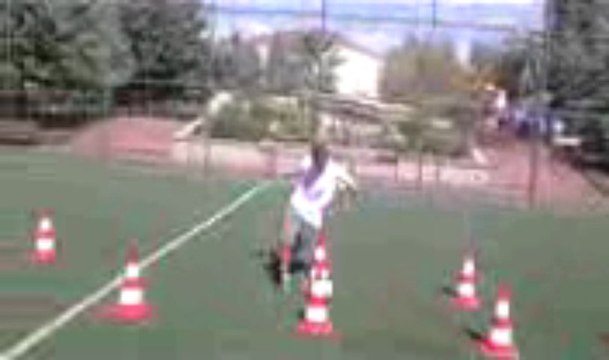 harbininsesi.com harbininsesi.com harbininsesi.com