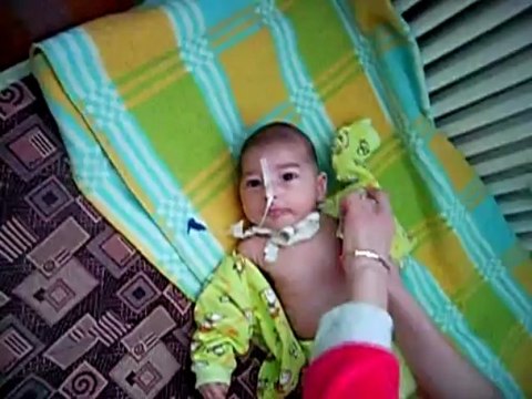 странник в болгаре