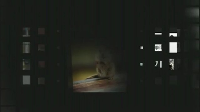 Rodent Removal Atlanta | Atlanta Squirrel & Rat Removal Call (678) 447-3124