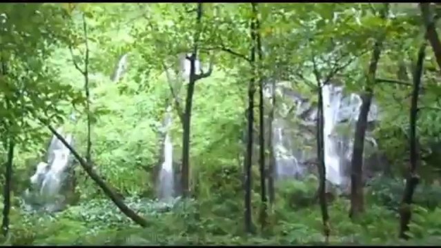 Balade two-beestique à l'Anse des Cascades (Reunion Island)
