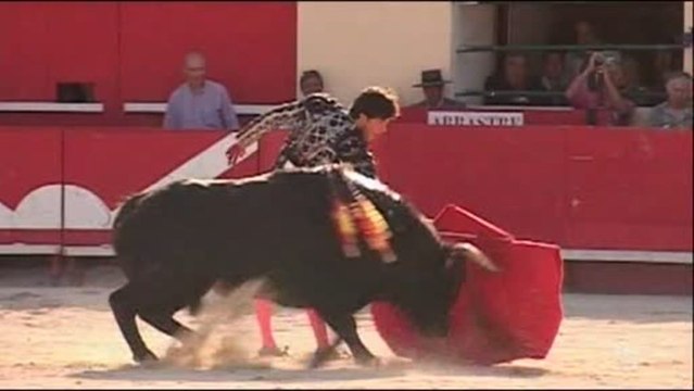 Festivités et les corridas animent l'ascension (Montpellier)