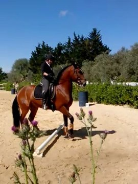 Equitation de travail rapidité