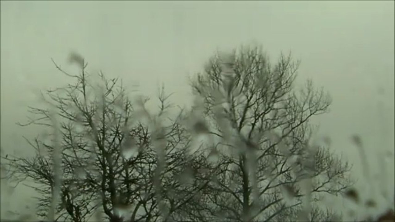 Rain song