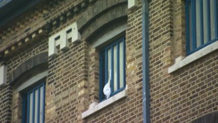 Clegg: Prison costs more than going to Eton