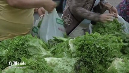 Ruée sur des distributions de nourriture gratuite en Grèce