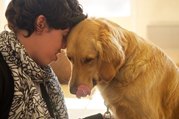 Film: MA VIE, MON CHIEN ET MON HANDICAP