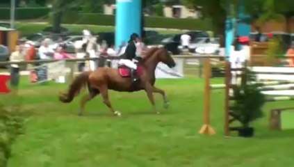 Chateaubriant prépa 110 2011