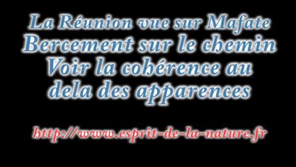 Géobiologie évolution spirituelle : Cohérence et apparence