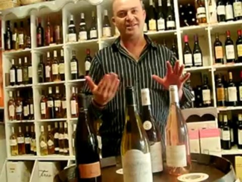 Pouilly Fumé 2011 - Domaine Les Chaumes - J.J. Bardin