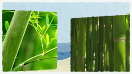 renewable energy investment