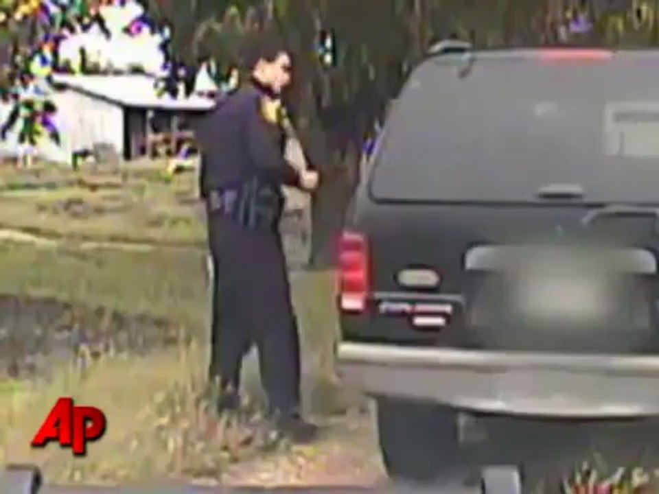 Raw video - policeman vs. Kitty