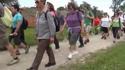 Icaro Tv. Il pellegrinaggio alla Madonna di Saiano