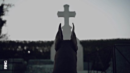 DOBERMANN TEASER DE L'INTÉGRALE