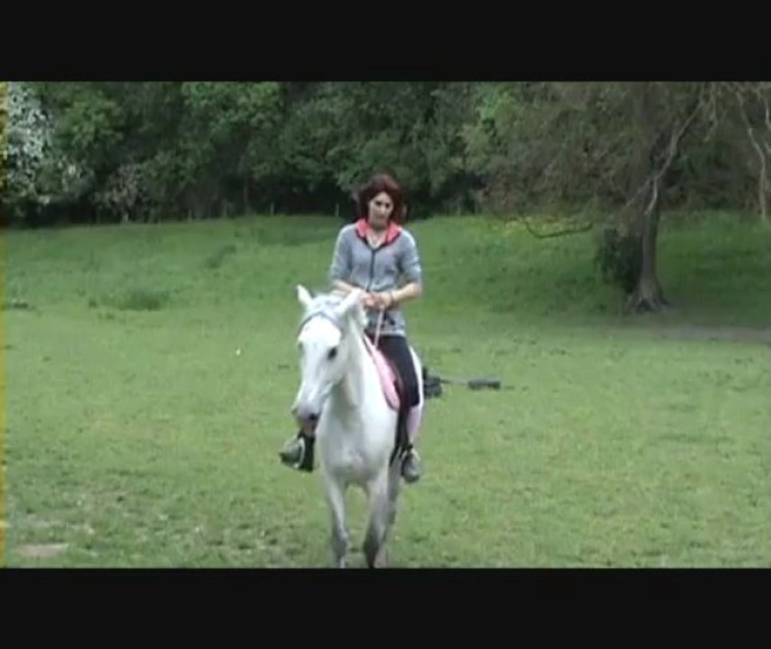 Séance éthologie cordelette