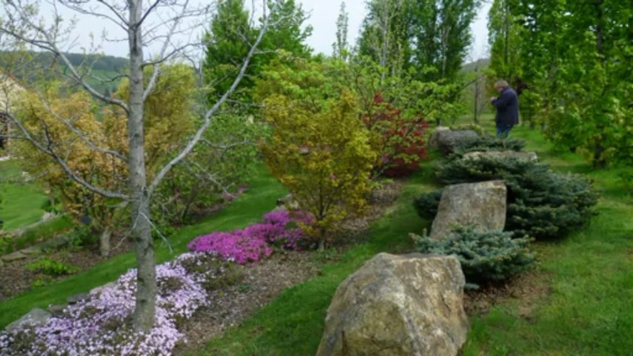 LE PARC PIMPRENELLE (07) Alboussière