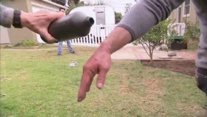 Un perro ataca al encantador de perros