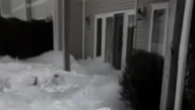 Top Videos of the Week: Angry Taco Bell Guy, Glacier Moves on House, Dog Hates Baths