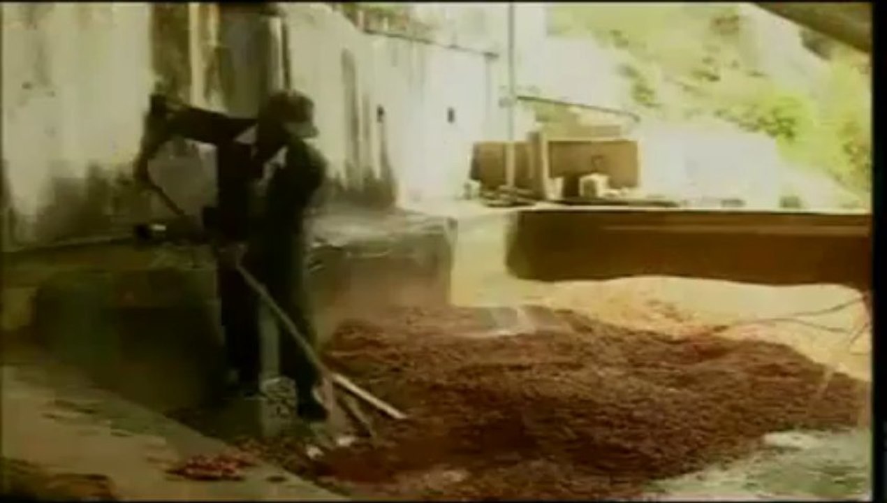 Documental de América en Foco  El Café - YouTube