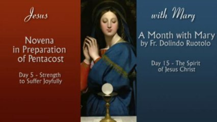 Grace to Suffer for Christ - 2 Pillars #27