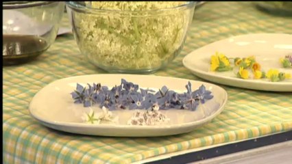 Espai Terra - dimecres 15 de maig