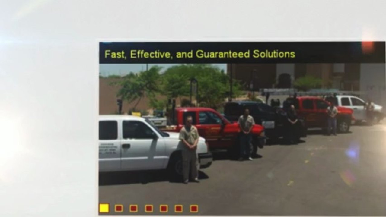 Pest Control Phoenix | Termites - (623) 877-0550 - AntEater Exterminating Inc