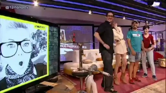 TV3 - Etiquetats - Etiquetats - Programa 11