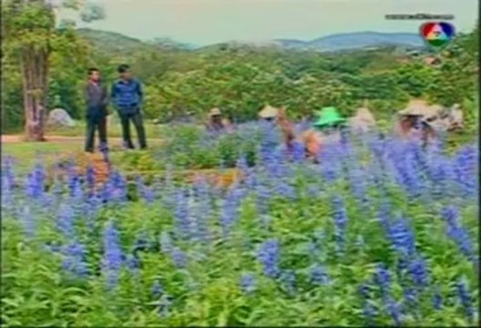 Hong-Bak-Slarp-19-007.mp4