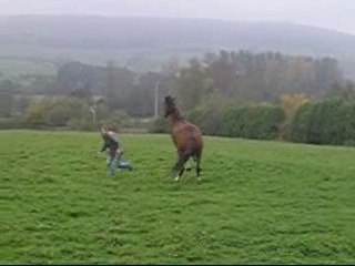 nouvel ex. coups de cul sur commande!