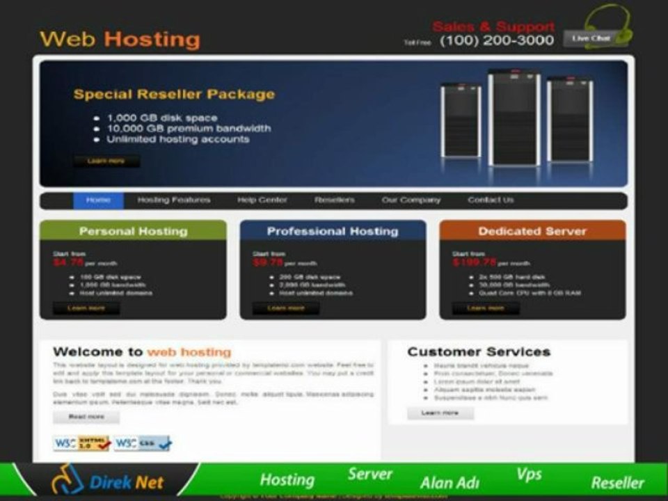 Hosting Nereden Alınır