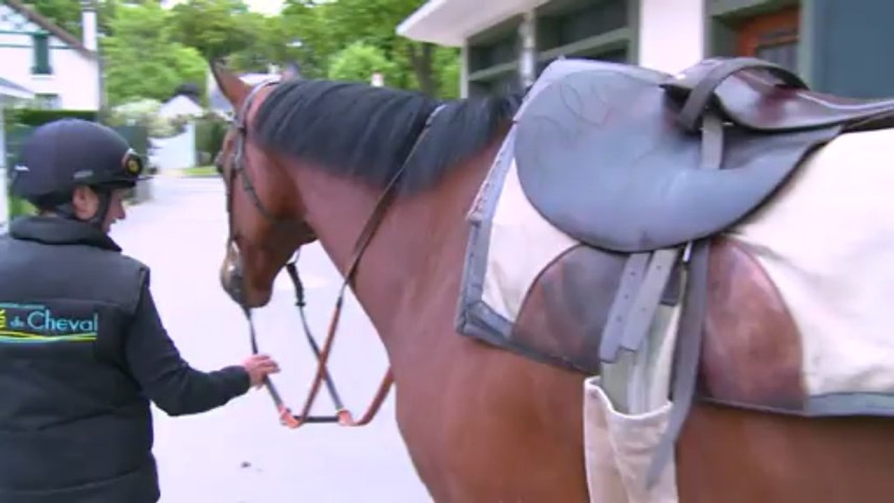 Nathalie Desoutter, une femme jockey dans le Grand Steeple-Chase
