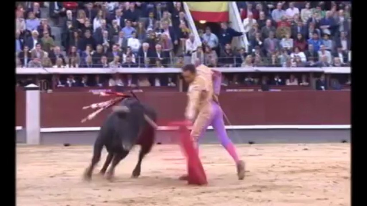 LOS TOROS 15-5