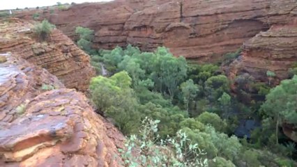 Australie- Kings Canyon: La beautre du Jardin d'Eden.