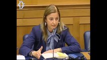 Roberta Lombardi - M5S su decreto sblocca crediti PA (15.05.13)