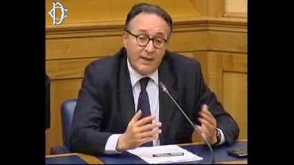 Antonio Misiani - IMU (15.05.13)