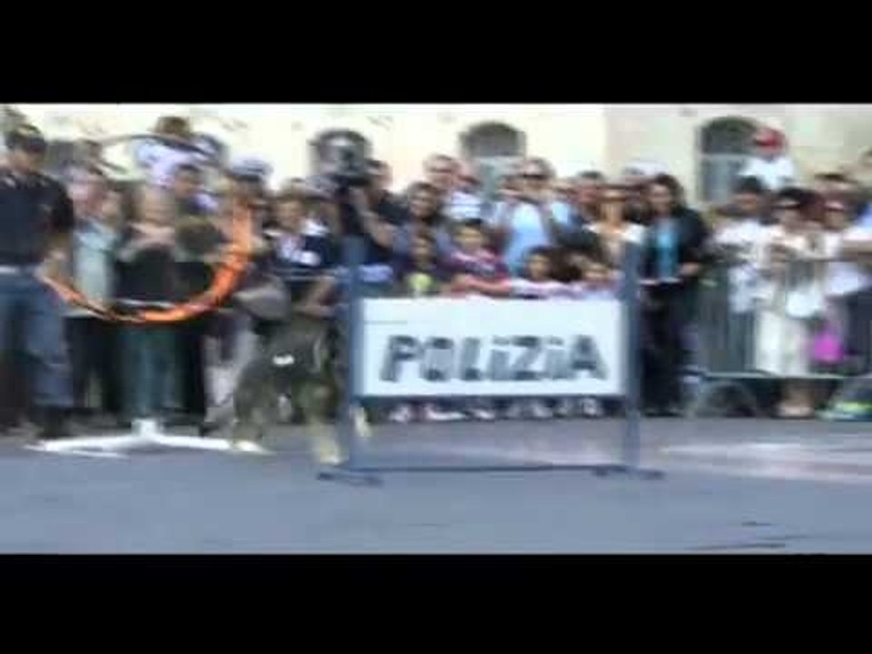 Polizia di Stato - Esibizione cinofili della Polizia di Stato (15.05.13)