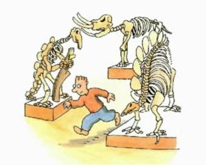 Les videos de mes vacances