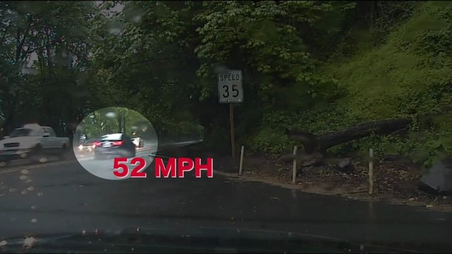 Course poursuite interrompue par des canards