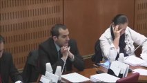 Intervention de Pouria Amirshahi à la commission des affaires culturelles (2)