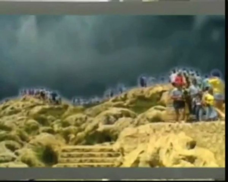 Der Krebs Bankrott (6 6)