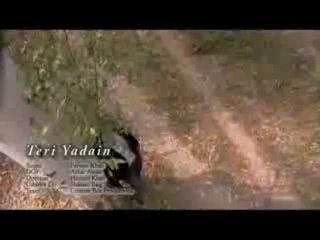 Teri yaadein by Parwan Khan song