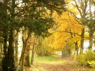 Château Wifi gratuit Pêche Franche Comté