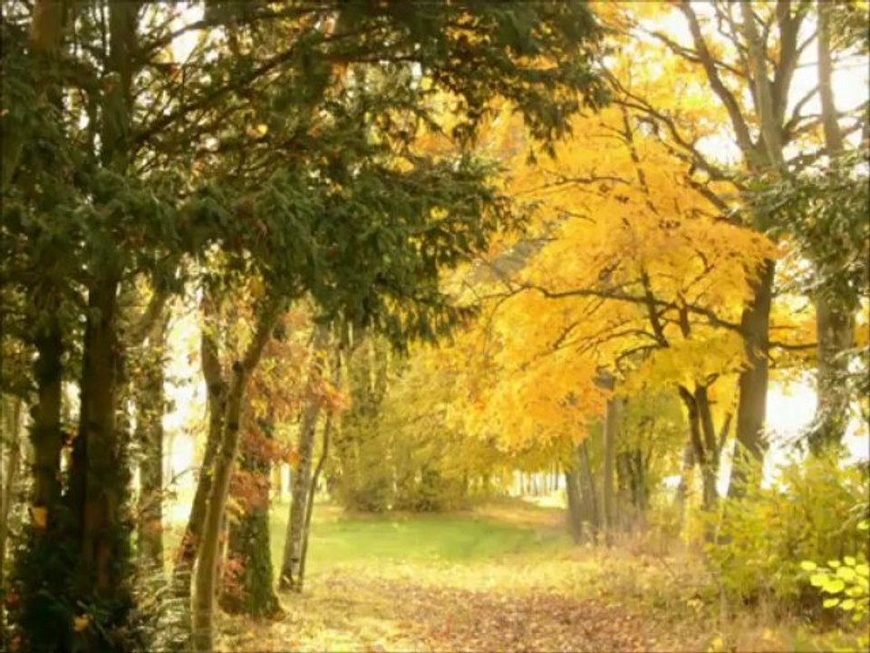 Château Wifi gratuit Pêche Franche Comté