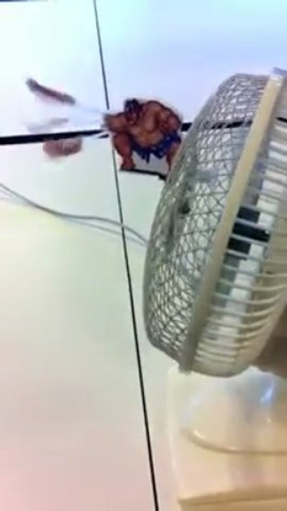 Pimp My Desk Fan- -Street Fighter- Hyper Turbo Edition