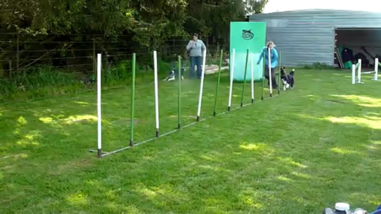 Slalom 3