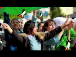 فلسطين هذا الصباح   16-5  0