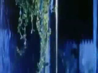 thakshak - Bhondon se baatein