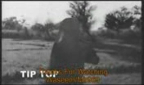 DIL DA JANI SAYYO NI MERE DIL DA JANI ( NOOR JEHAN ) By Aslam Nasir